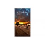 MONITOR SEÑALIZACION DIGITAL SAMSUNG 55 VM55B-U FULL HD, VIDEOWALL, 500 NITS, 3.5MM, 24 - Imagen 2