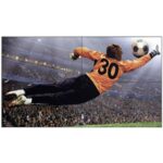 Monitor Para Video Wall Lg 49 49Vl5Pj, 500 Nits, Bisel 3.5 Mm 1920 X 1080 Uso 24/7 Hdmi/ Dp/ Dvi-D/ Usb/ Rs232C/ Rj45/ Audio/ Ir - Imagen 2