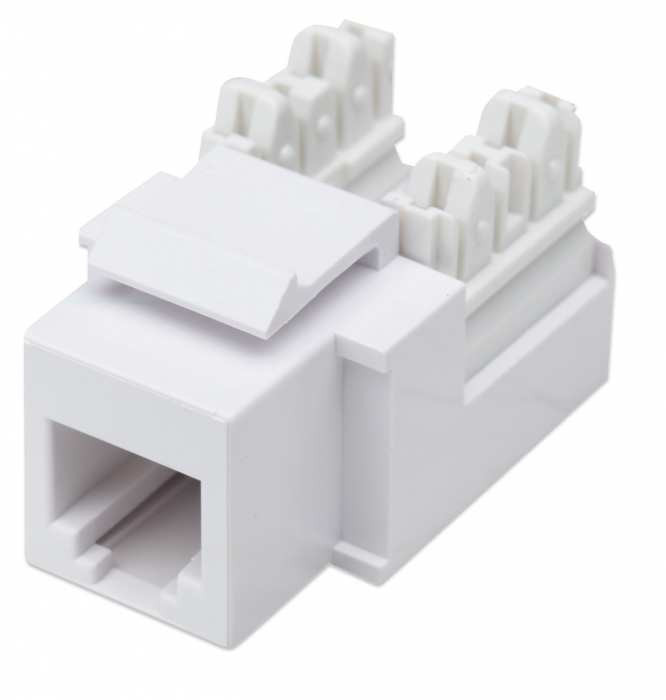 Jack,Intellinet,210843, Rj11/Rj12 De Impacto Blanco