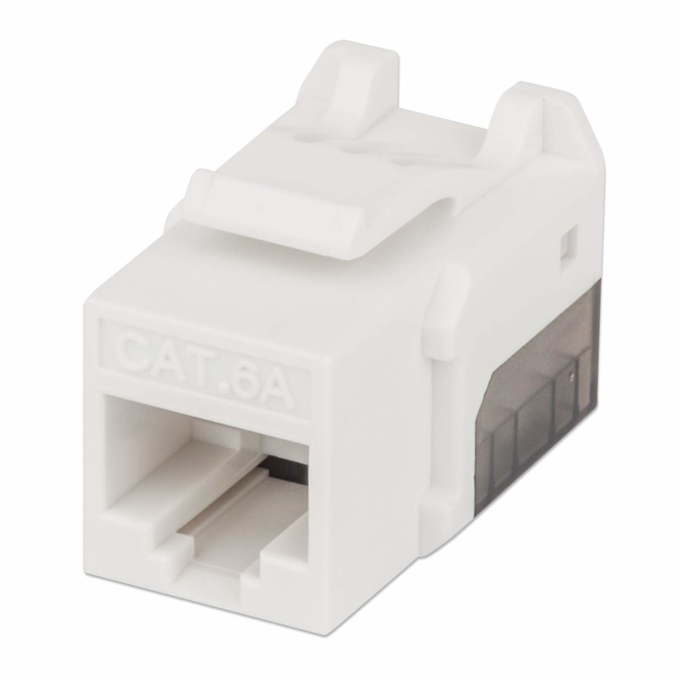Jack,Intellinet,772358, Cat 6A  De Impacto (Keystone) Blanco