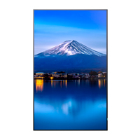 Monitor Profesional Sharp 55, Pn-P556 Led, 24/7, 700 Cd/M2, 10 Bit, Uhd, Hdmi In/Out Arc, Dp In/Out, Usb, Cont.80001 Compatible Intel Sdm, Raspberry Pi, Crestron Ccv2, Xio Cloud Y Dicom